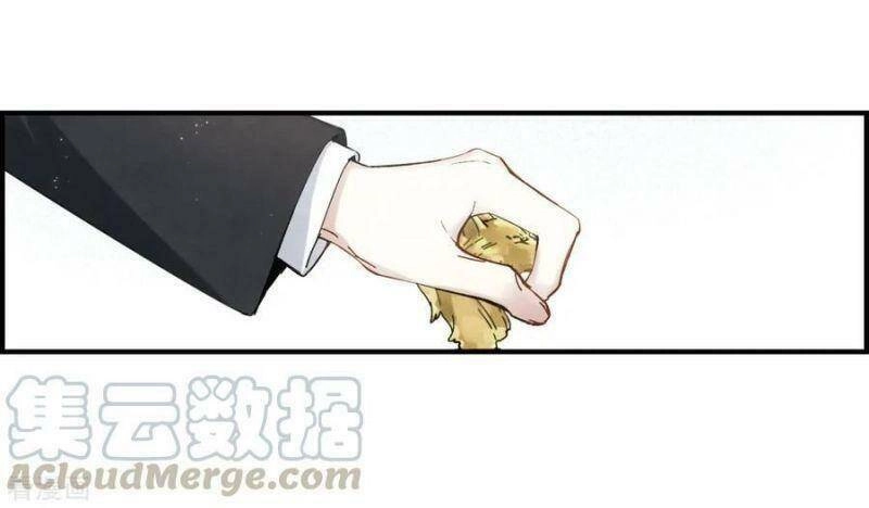 Mejaz - Nhân Gian Ngọc Chapter 89 - 15