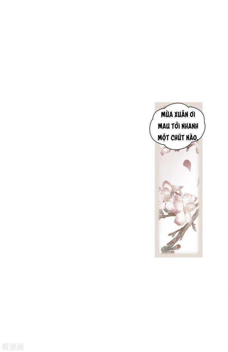 Mejaz - Nhân Gian Ngọc Chapter 131 - 5