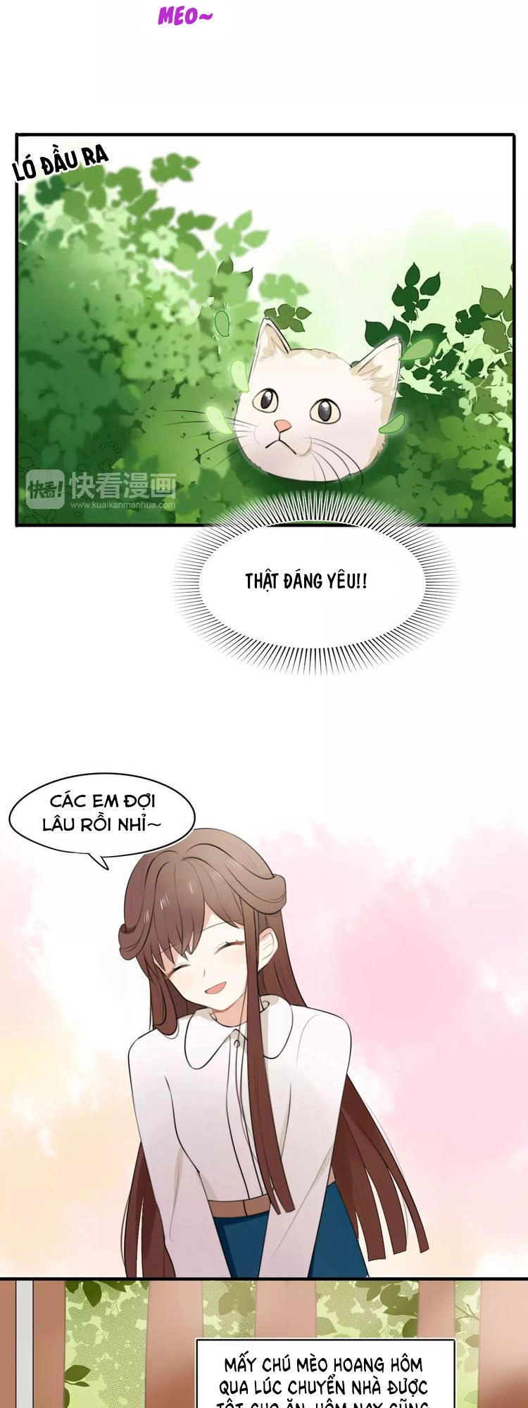 Tiểu Miêu Và Hắc Diệu Thạch Chapter 1 - 11