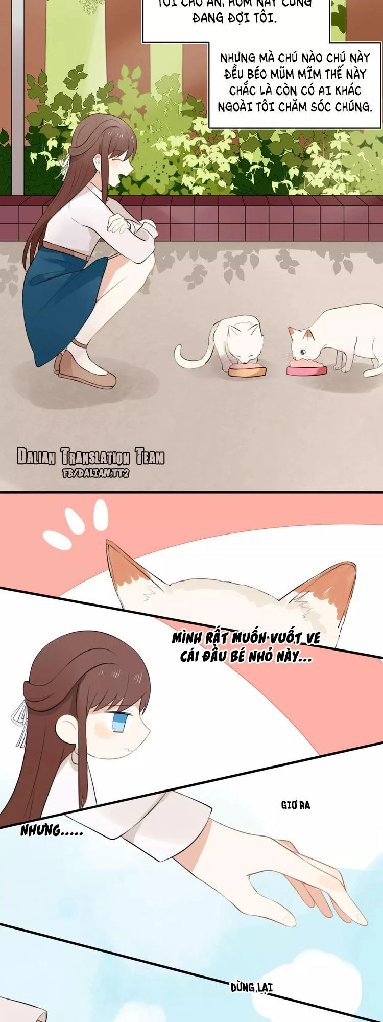 Tiểu Miêu Và Hắc Diệu Thạch Chapter 1 - 12