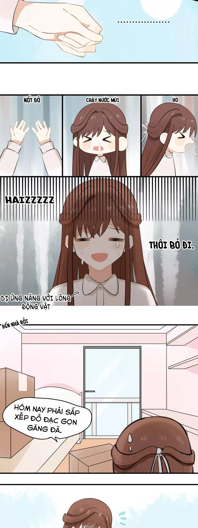 Tiểu Miêu Và Hắc Diệu Thạch Chapter 1 - 13