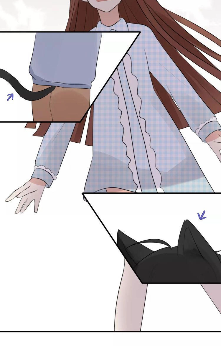 Tiểu Miêu Và Hắc Diệu Thạch Chapter 1 - 32