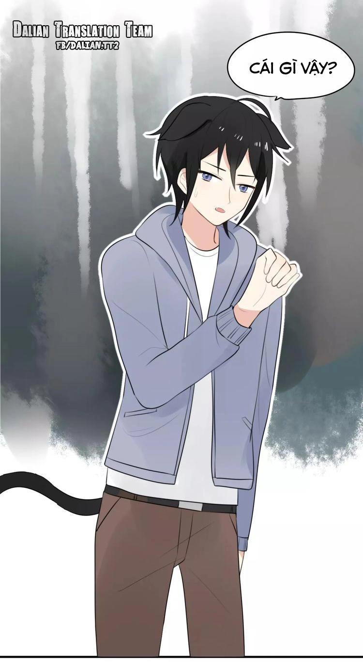 Tiểu Miêu Và Hắc Diệu Thạch Chapter 1 - 38