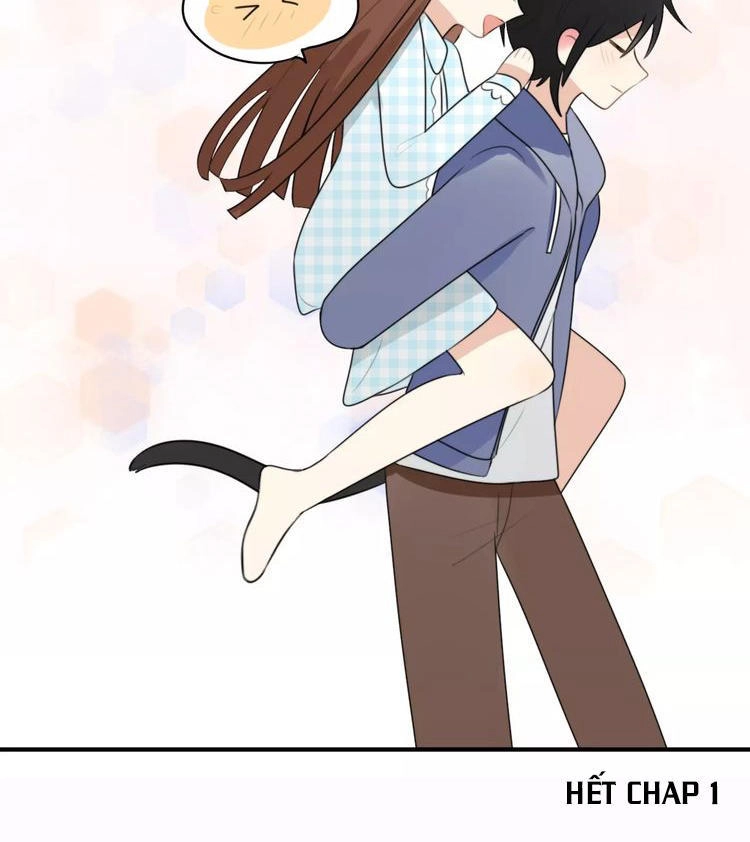 Tiểu Miêu Và Hắc Diệu Thạch Chapter 1 - 52