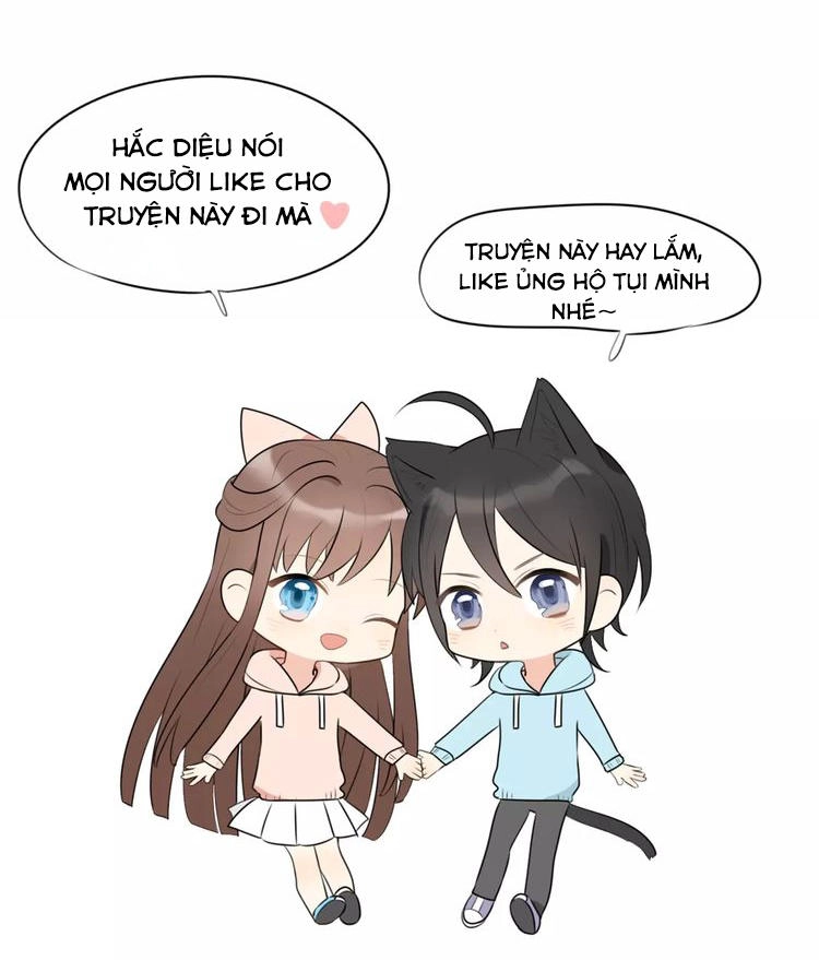 Tiểu Miêu Và Hắc Diệu Thạch Chapter 1 - 53