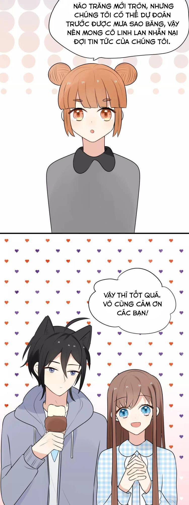 Tiểu Miêu Và Hắc Diệu Thạch Chapter 3 - 8