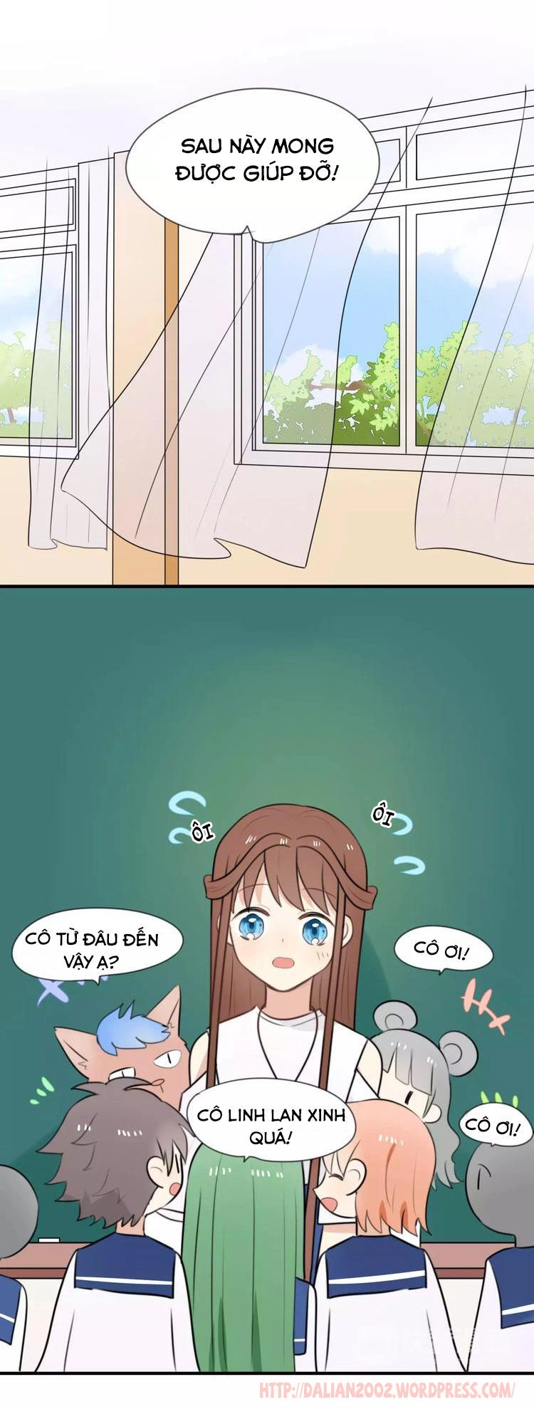 Tiểu Miêu Và Hắc Diệu Thạch Chapter 5 - 12