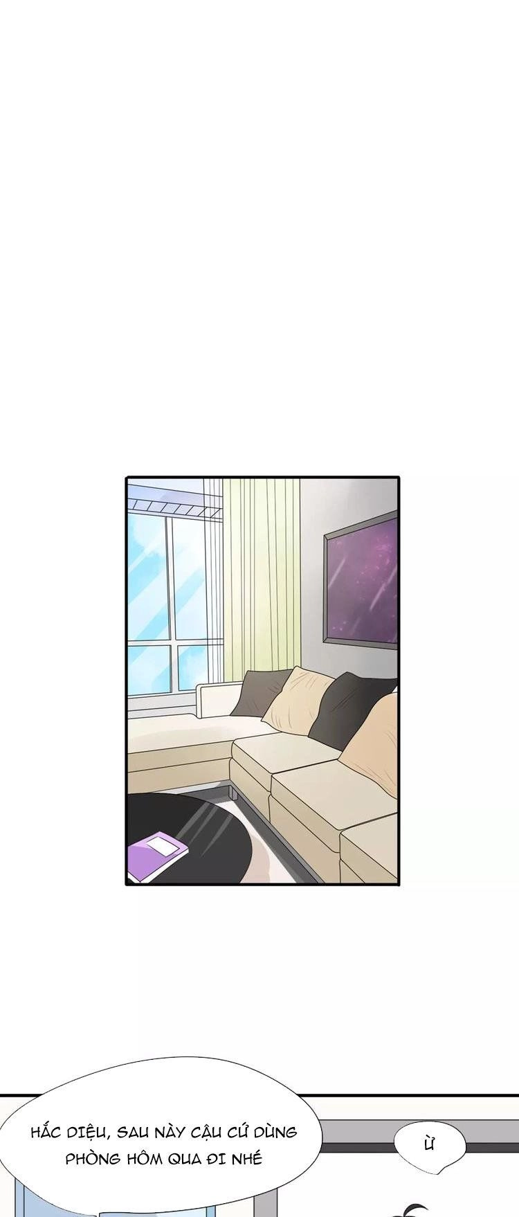 Tiểu Miêu Và Hắc Diệu Thạch Chapter 6 - 16