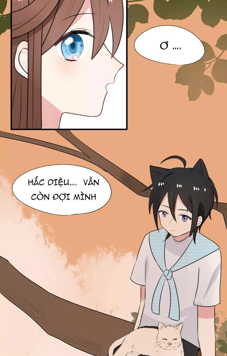 Tiểu Miêu Và Hắc Diệu Thạch Chapter 7 - 5