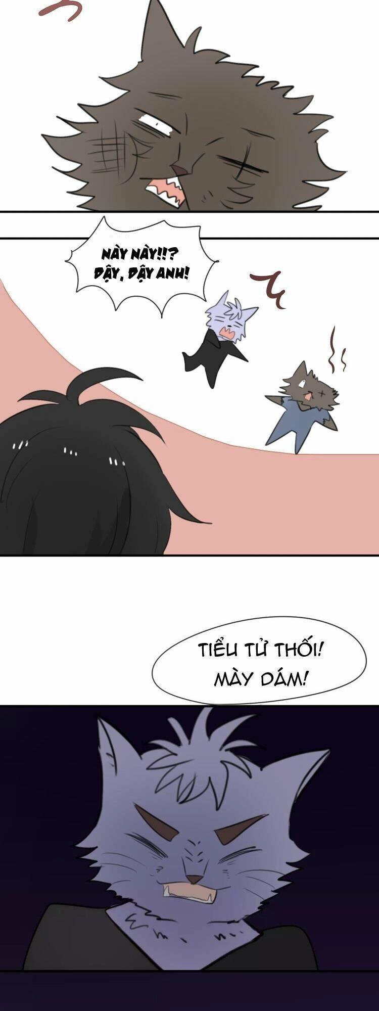 Tiểu Miêu Và Hắc Diệu Thạch Chapter 8 - 16