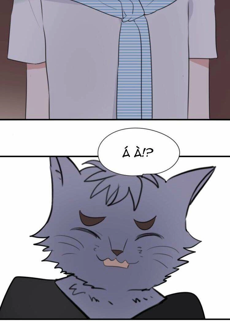 Tiểu Miêu Và Hắc Diệu Thạch Chapter 8 - 18