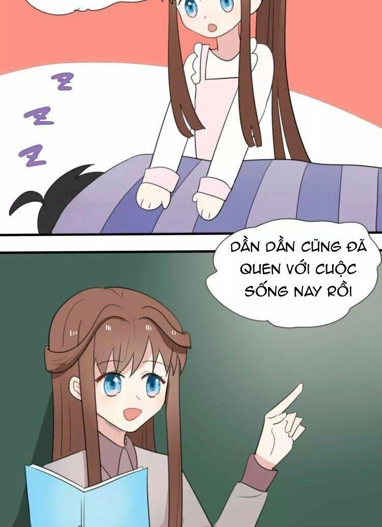 Tiểu Miêu Và Hắc Diệu Thạch Chapter 12 - 6