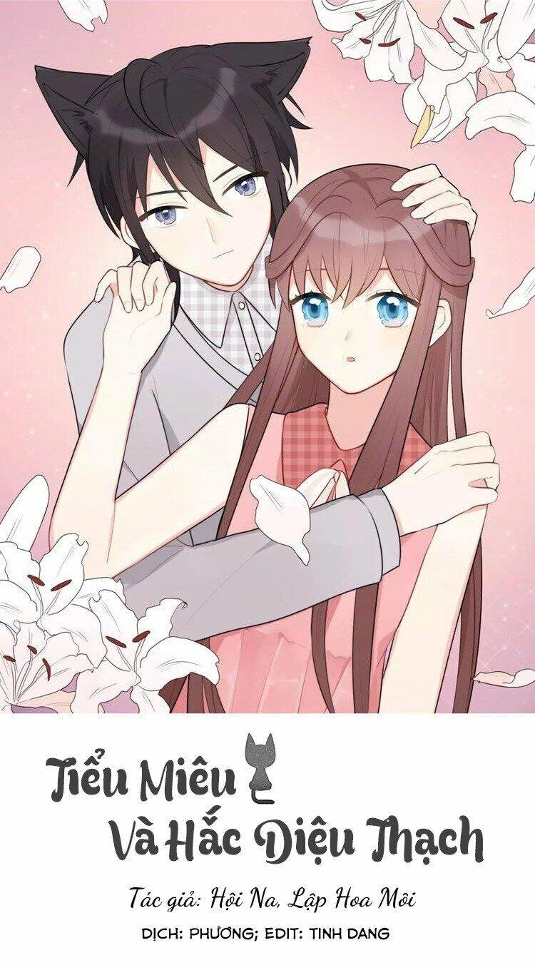 Tiểu Miêu Và Hắc Diệu Thạch Chapter 14 - 1