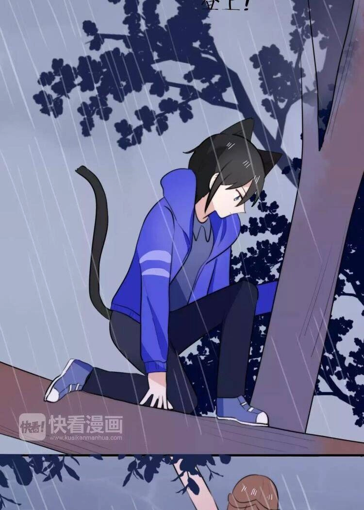 Tiểu Miêu Và Hắc Diệu Thạch Chapter 14 - 10