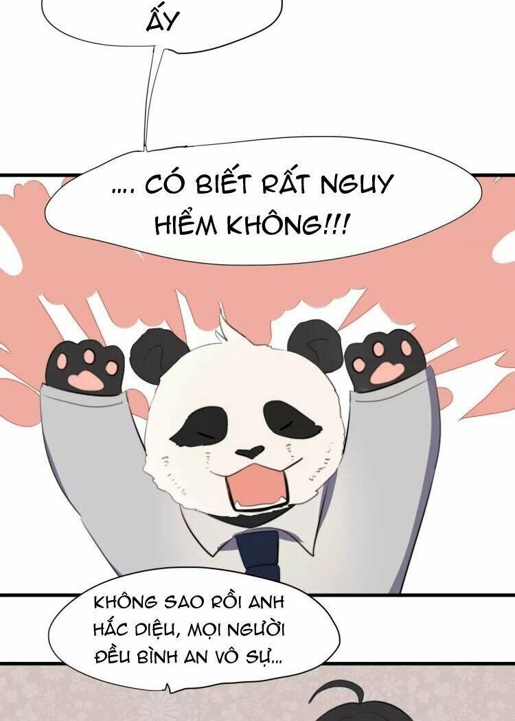 Tiểu Miêu Và Hắc Diệu Thạch Chapter 14 - 16