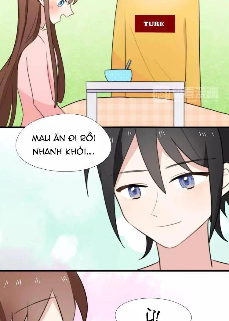 Tiểu Miêu Và Hắc Diệu Thạch Chapter 15 - 20