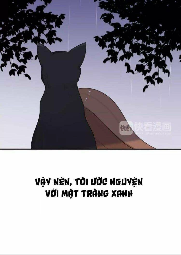 Tiểu Miêu Và Hắc Diệu Thạch Chapter 27 - 16