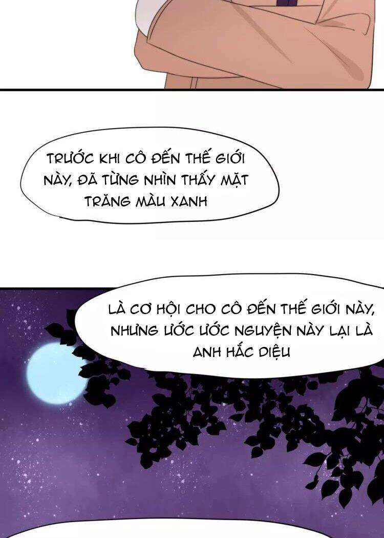 Tiểu Miêu Và Hắc Diệu Thạch Chapter 31 - 17