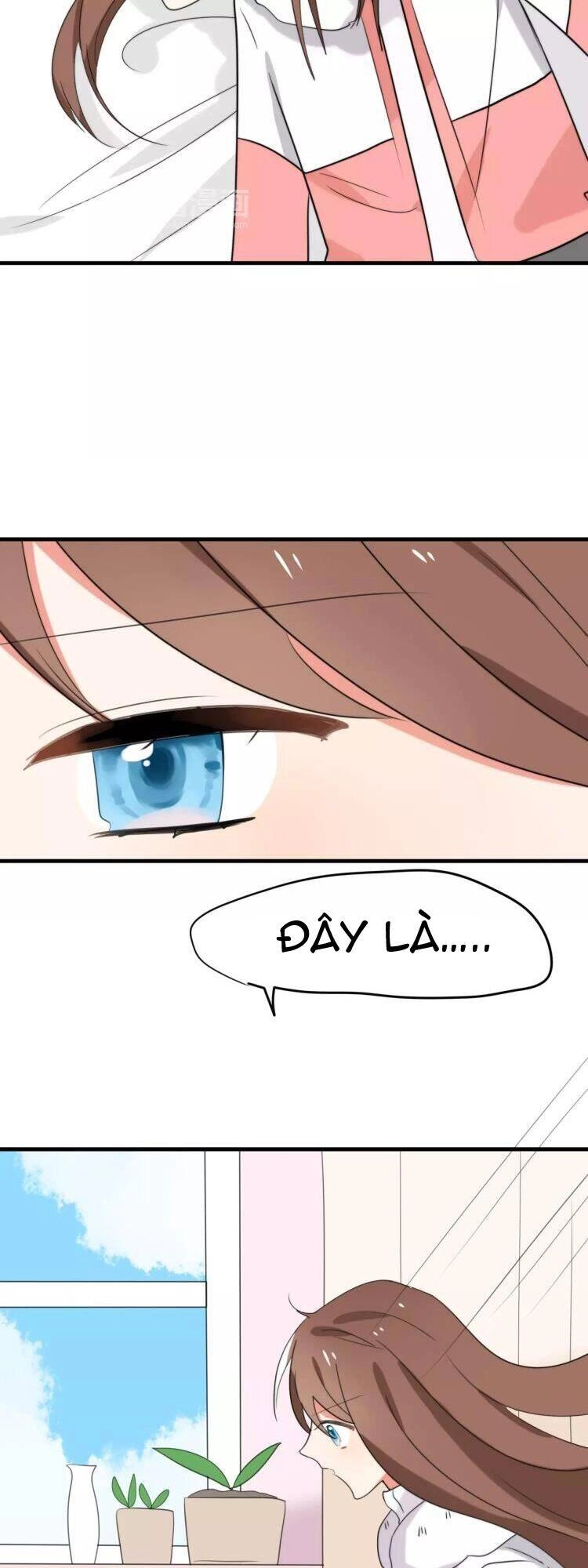 Tiểu Miêu Và Hắc Diệu Thạch Chapter 32 - 15