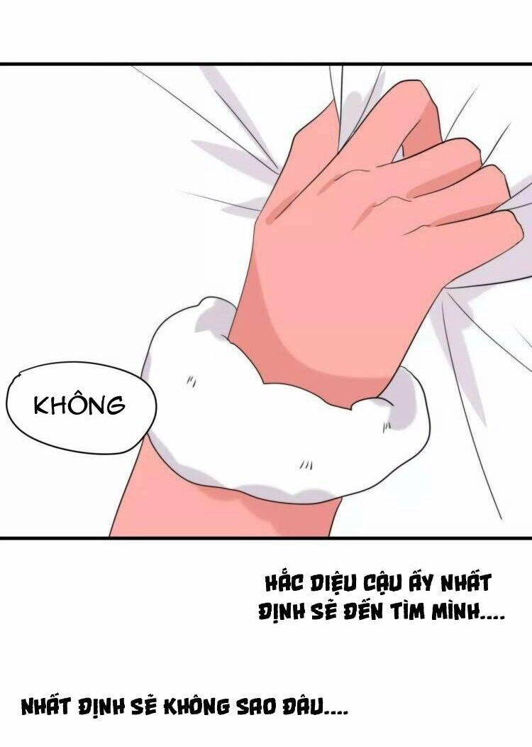 Tiểu Miêu Và Hắc Diệu Thạch Chapter 32 - 20