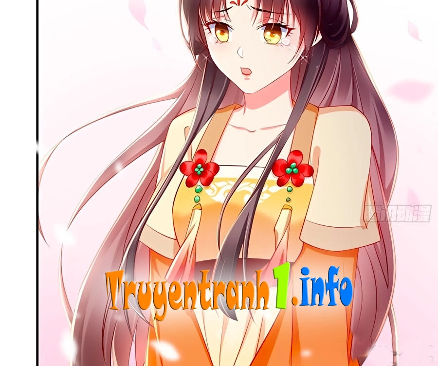 Vương Phi Là Đoá Bạch Liên Hoa Chapter 2 - 12