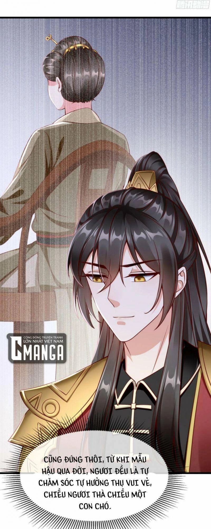 Vương Phi Là Đoá Bạch Liên Hoa Chapter 21 - 11