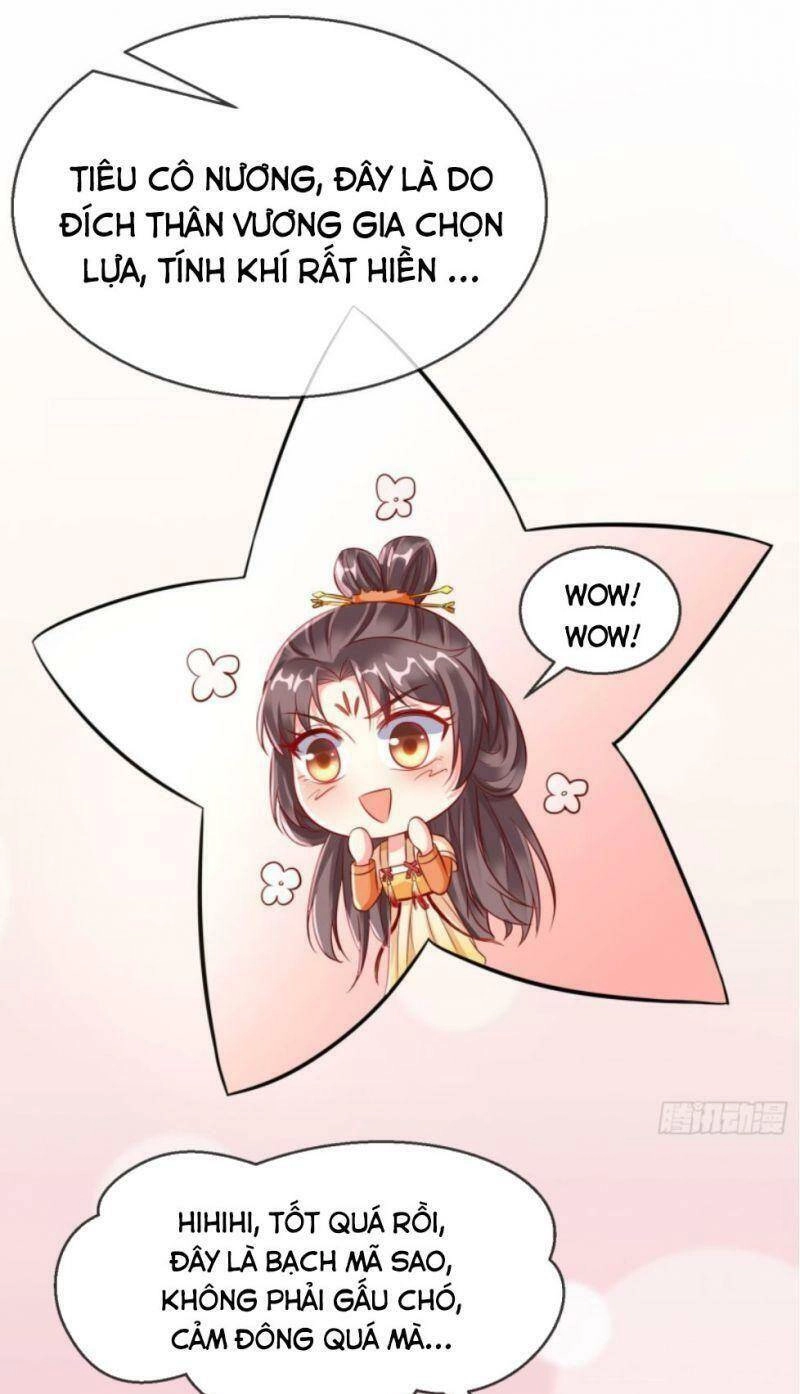 Vương Phi Là Đoá Bạch Liên Hoa Chapter 22 - 2