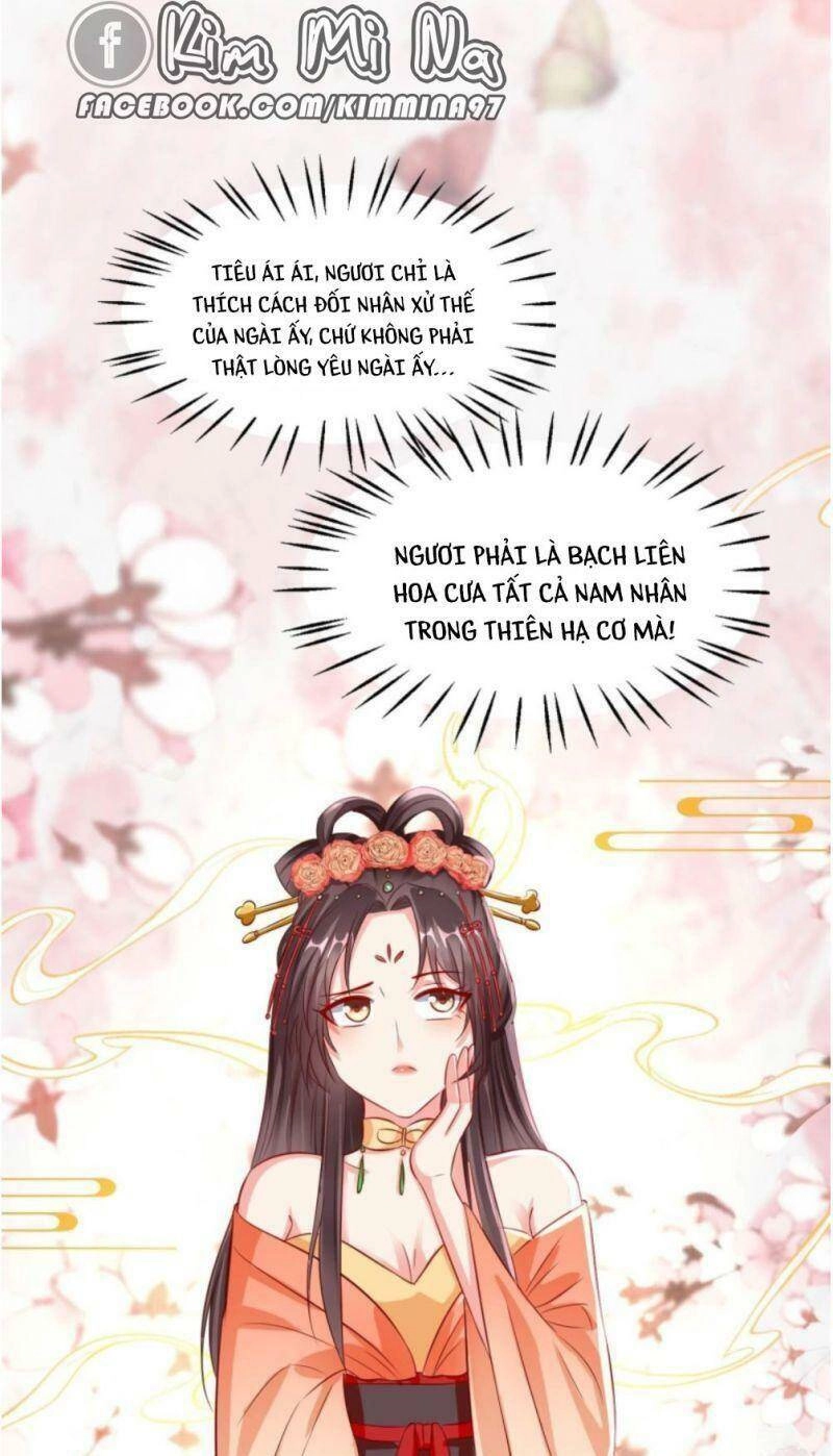 Vương Phi Là Đoá Bạch Liên Hoa Chapter 26 - 27