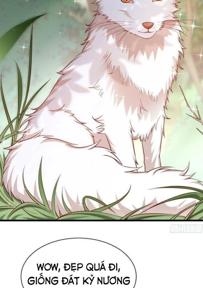 Vương Phi Là Đoá Bạch Liên Hoa Chapter 31 - 20