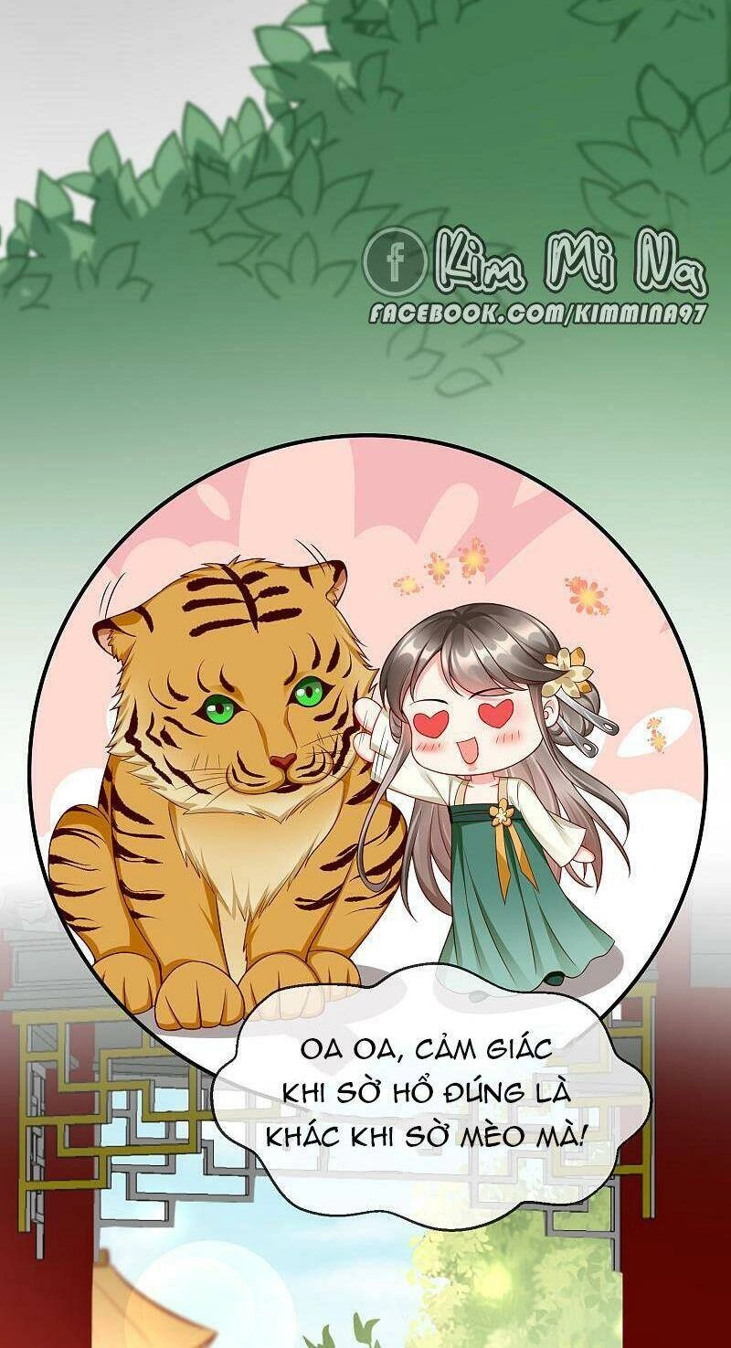 Vương Phi Là Đoá Bạch Liên Hoa Chapter 36 - 17