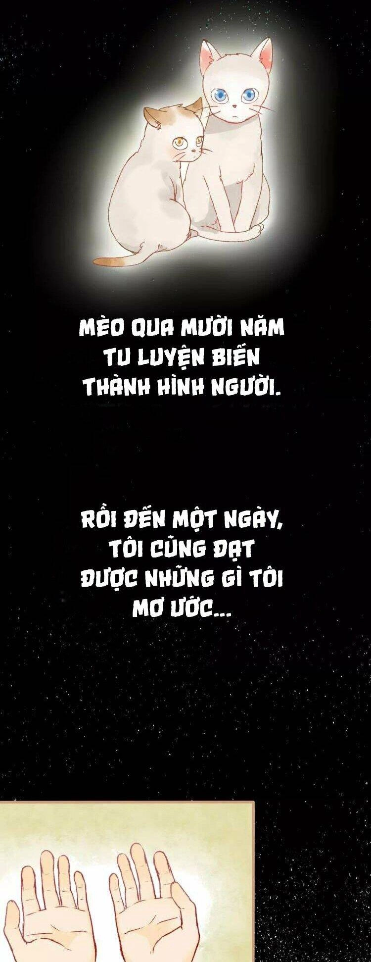 Bình Minh Của Ngũ Nguyệt Chapter 12 - 27