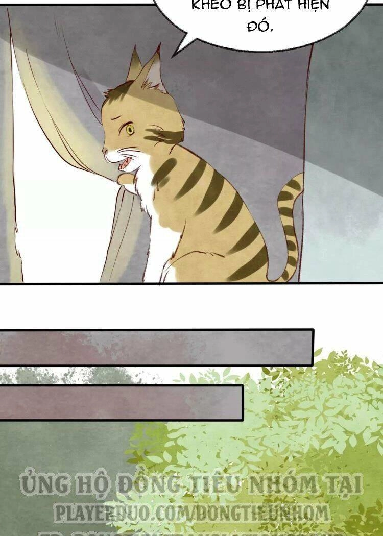 Bình Minh Của Ngũ Nguyệt Chapter 16 - 19