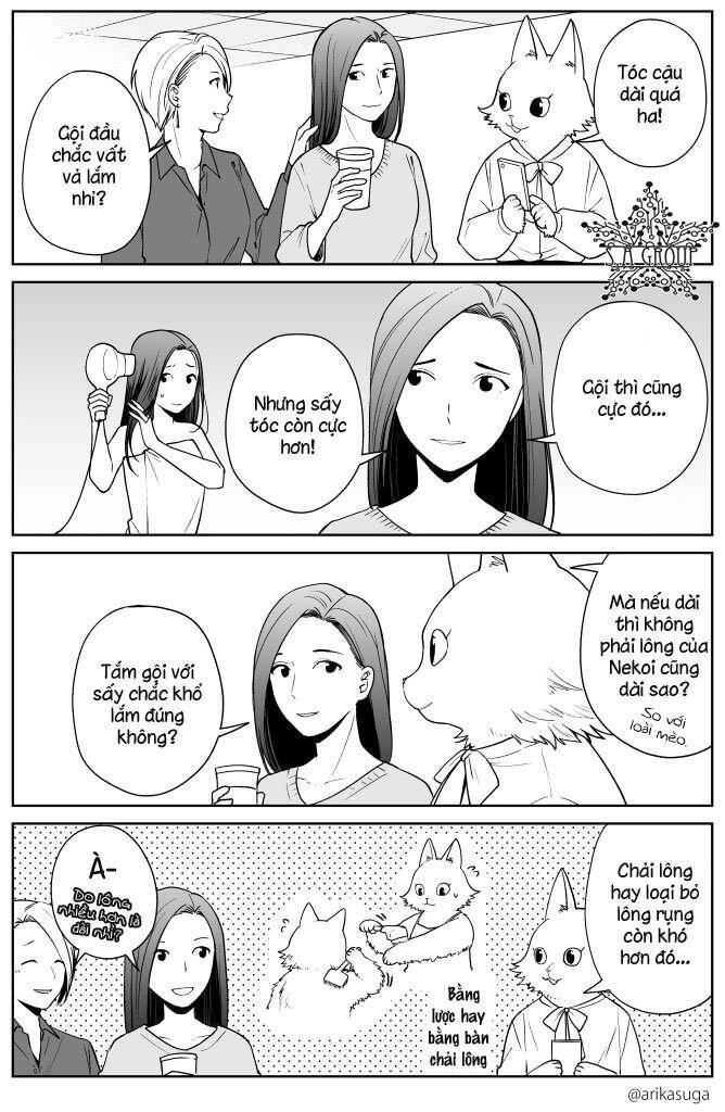 Công Ty Làm Việc Cùng Với Mèo Chapter 1 - 5