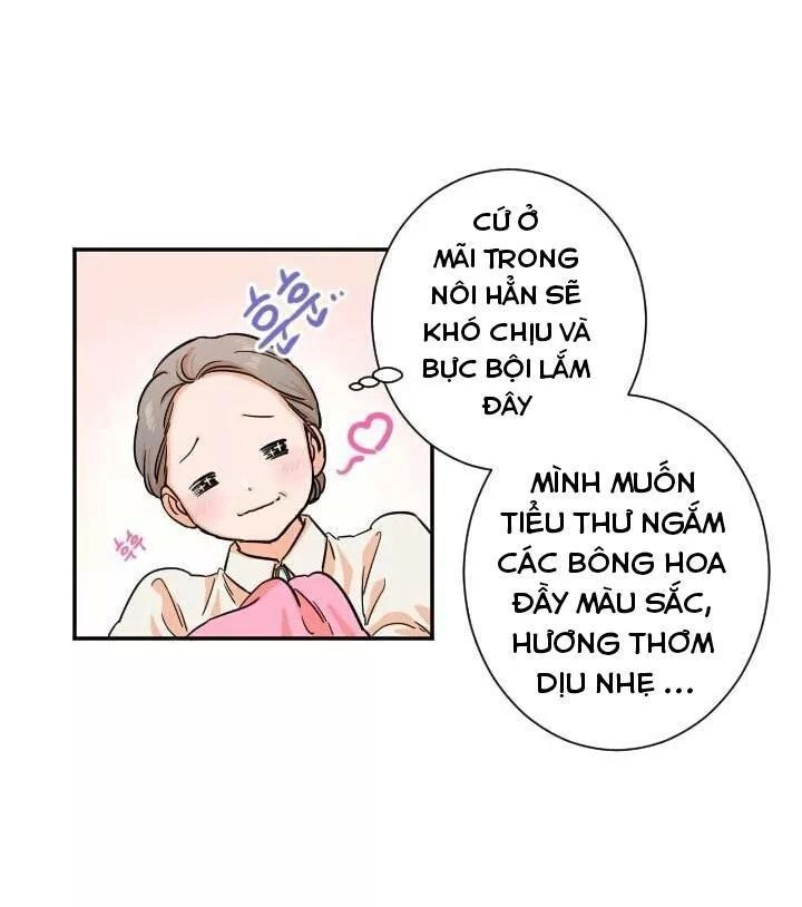 Tiểu Thư Bé Bỏng Đáng Yêu! Chapter 15 - 19