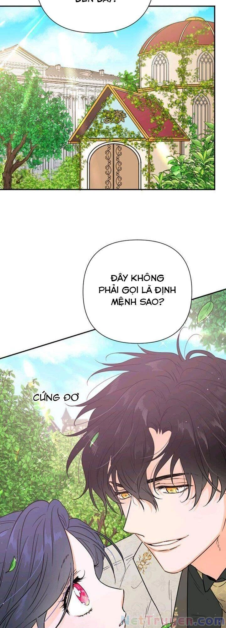 Tiểu Thư Bé Bỏng Đáng Yêu! Chapter 117 - 6