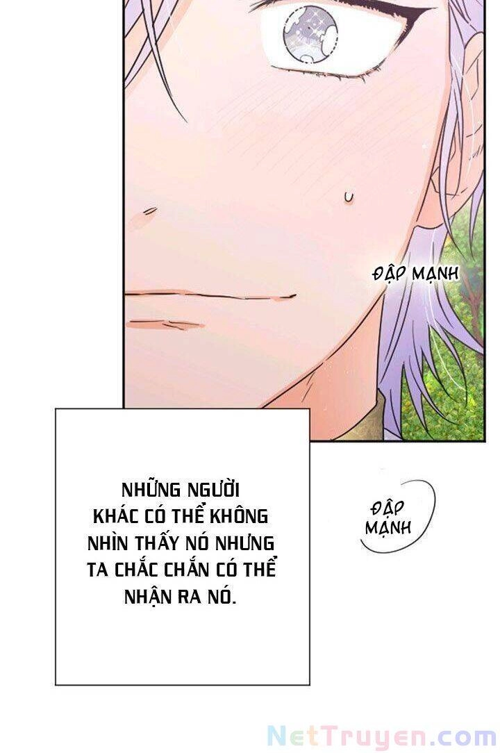 Tiểu Thư Bé Bỏng Đáng Yêu! Chapter 117 - 16