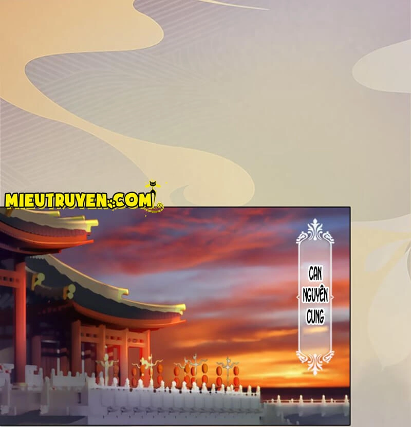 Yêu Nhan Lệnh Chapter 11 - 4