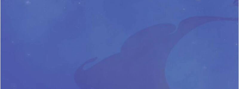 Yêu Nhan Lệnh Chapter 18 - 57