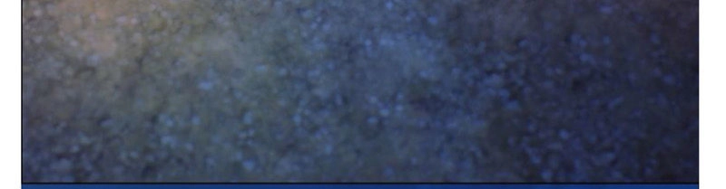 Yêu Nhan Lệnh Chapter 70 - 33