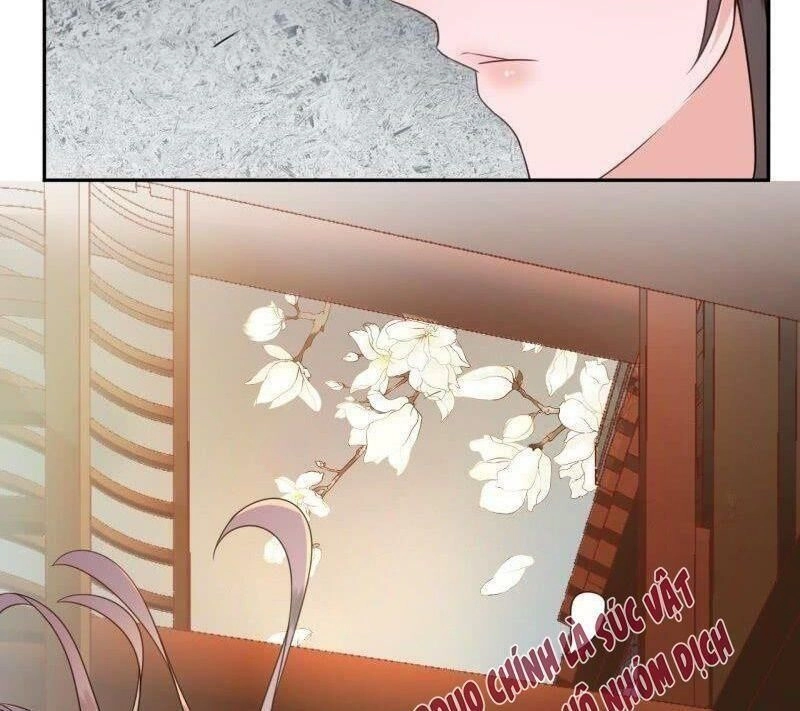 Vương Gia Kiêu Ngạo Quá Khó Cua Chapter 35 - 57