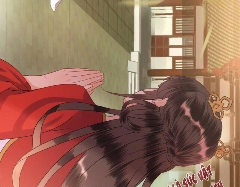 Vương Gia Kiêu Ngạo Quá Khó Cua Chapter 38 - 42