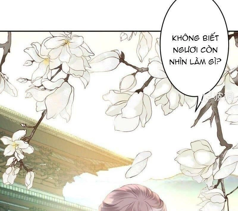 Vương Gia Kiêu Ngạo Quá Khó Cua Chapter 39 - 6