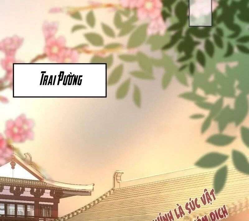 Vương Gia Kiêu Ngạo Quá Khó Cua Chapter 39 - 32