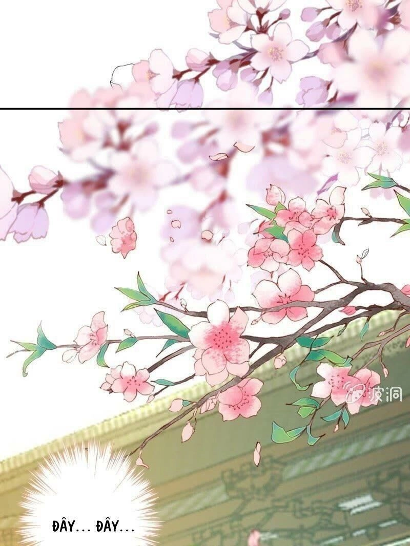 Vương Gia Kiêu Ngạo Quá Khó Cua Chapter 44 - 11