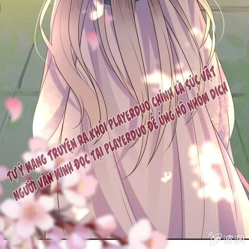 Vương Gia Kiêu Ngạo Quá Khó Cua Chapter 46 - 29