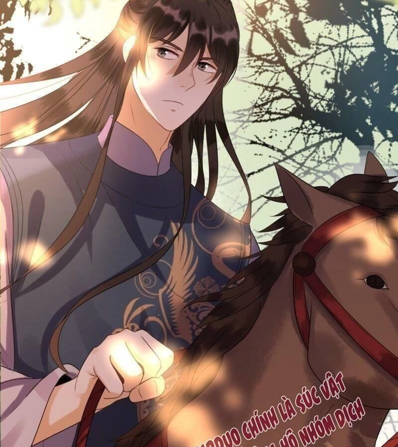 Vương Gia Kiêu Ngạo Quá Khó Cua Chapter 48 - 14