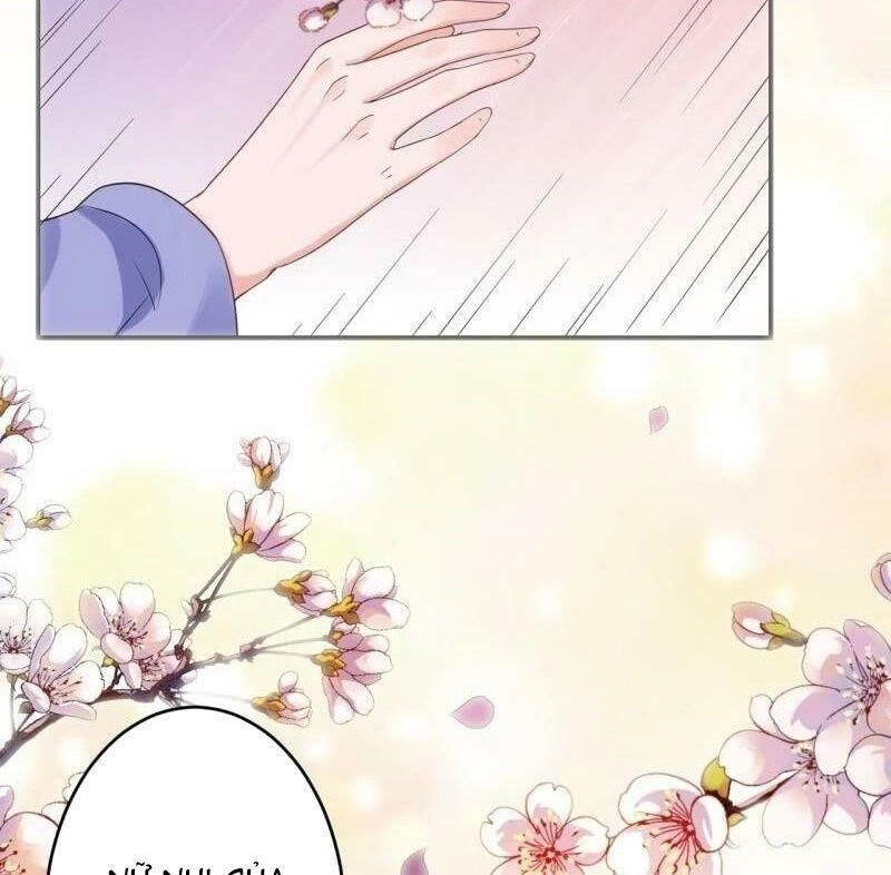 Vương Gia Kiêu Ngạo Quá Khó Cua Chapter 59 - 25