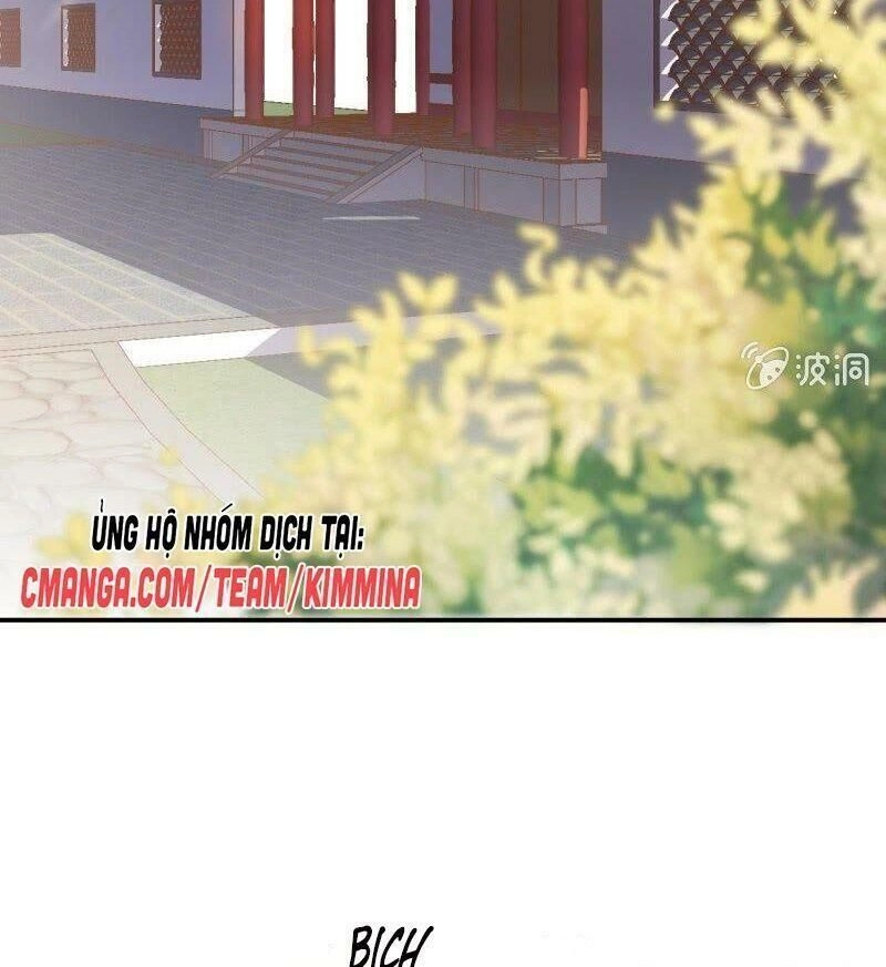 Vương Gia Kiêu Ngạo Quá Khó Cua Chapter 66 - 41