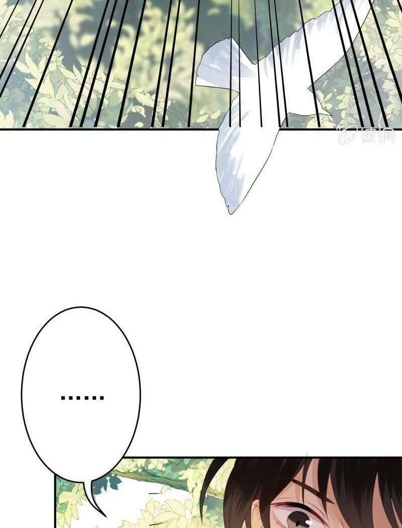 Vương Gia Kiêu Ngạo Quá Khó Cua Chapter 66 - 48