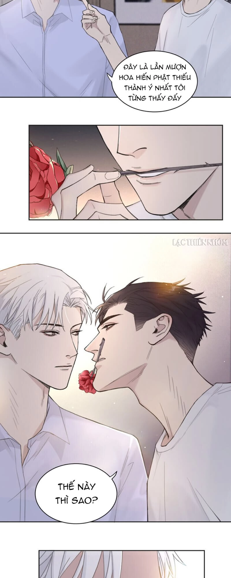 Trong Bóng Tối Chapter 22 - 8